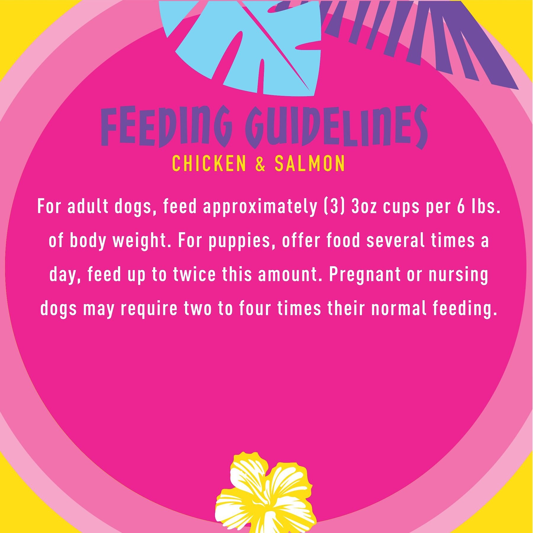 Tiki Dog Meaty High Protein Diet Chicken with Salmon Recipe in Broth Grain-Free Wet Dog Food, 3-oz cup, case of 4