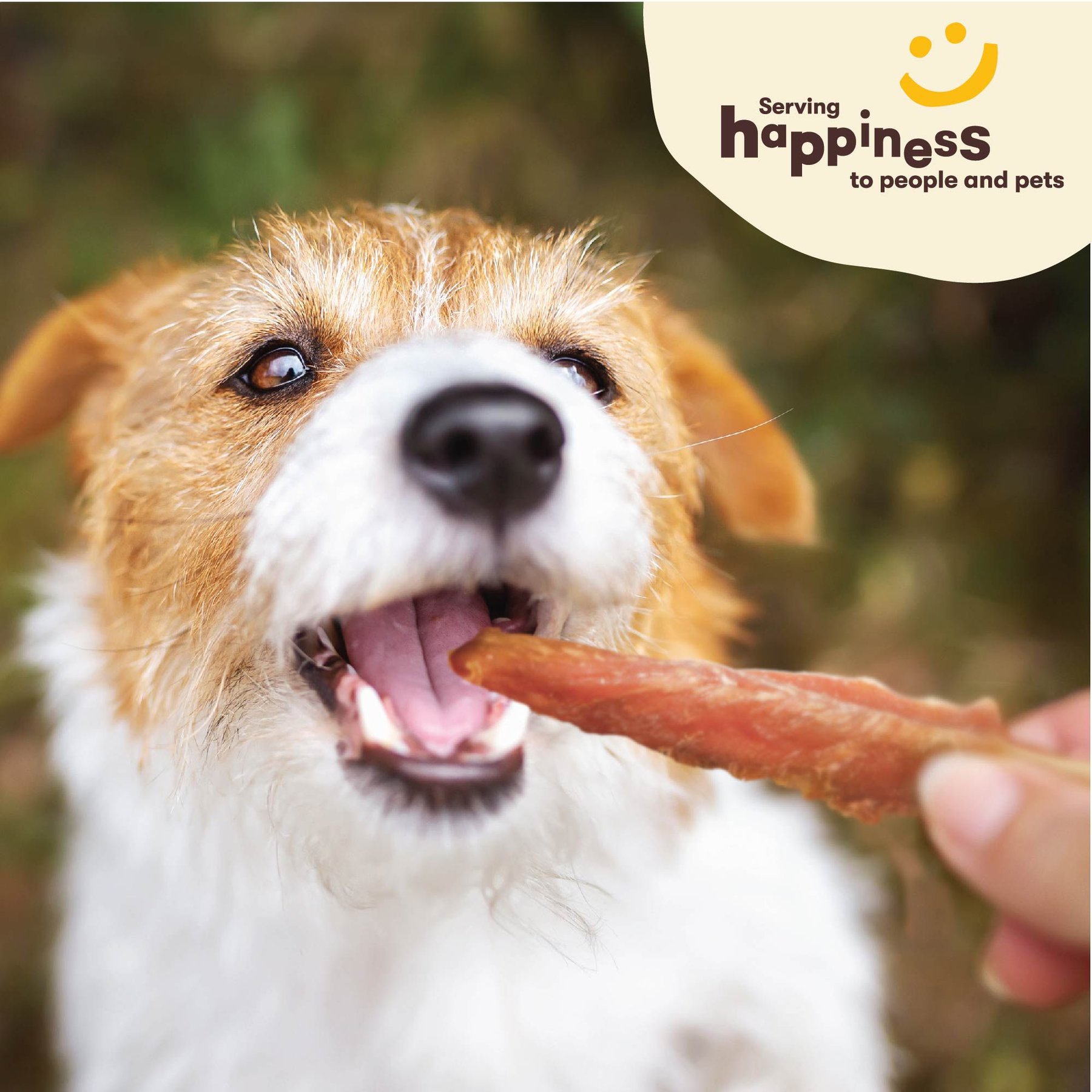 Pet 'n Shape Chik 'n Skewers Dog Treats