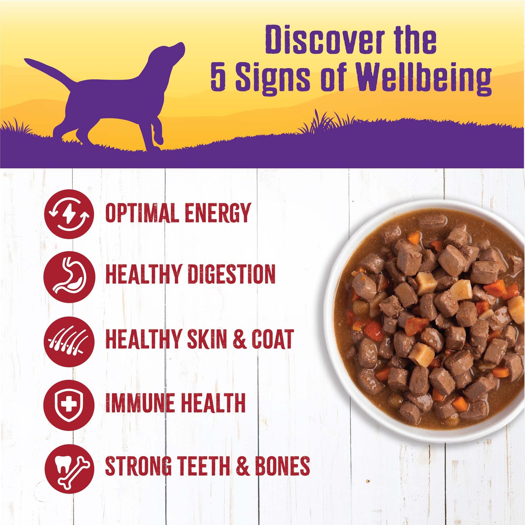 Wellness Beef Stew with Carrots & Potatoes Grain-Free Canned Dog Food