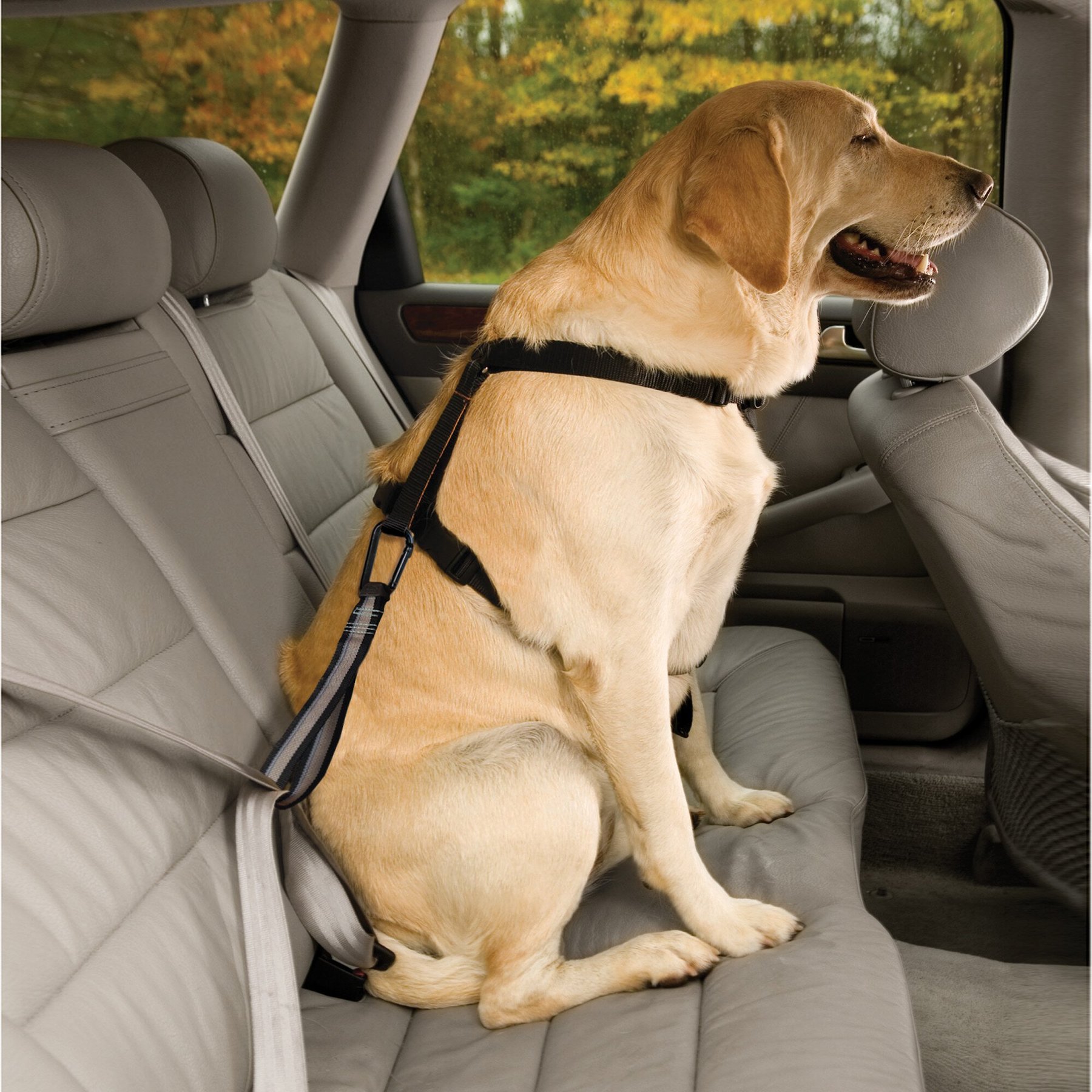 Kurgo Seat Belt Tether