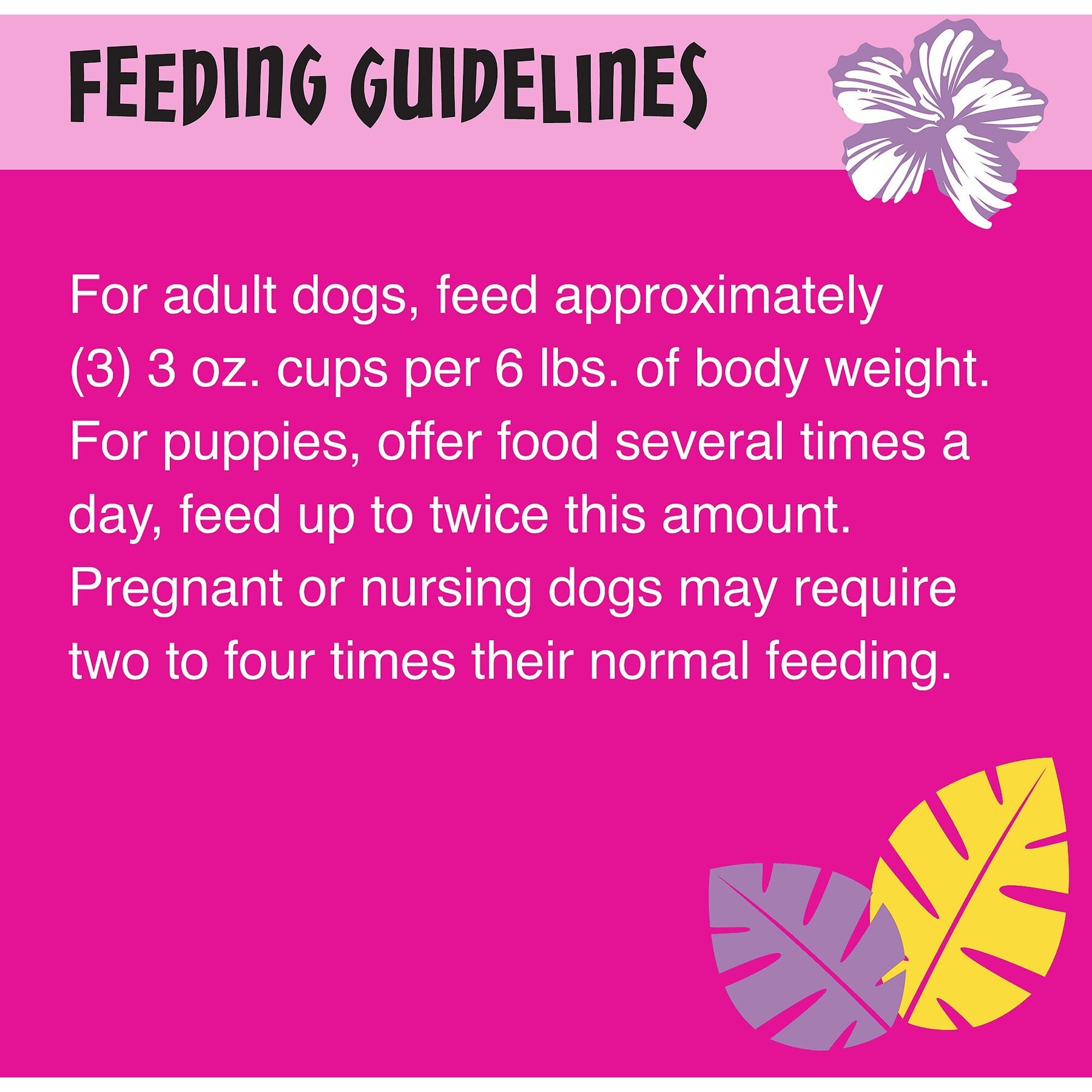 Tiki Dog Meaty High Protein Diet Chicken with Salmon Recipe in Broth Grain-Free Wet Dog Food, 3-oz cup, case of 4