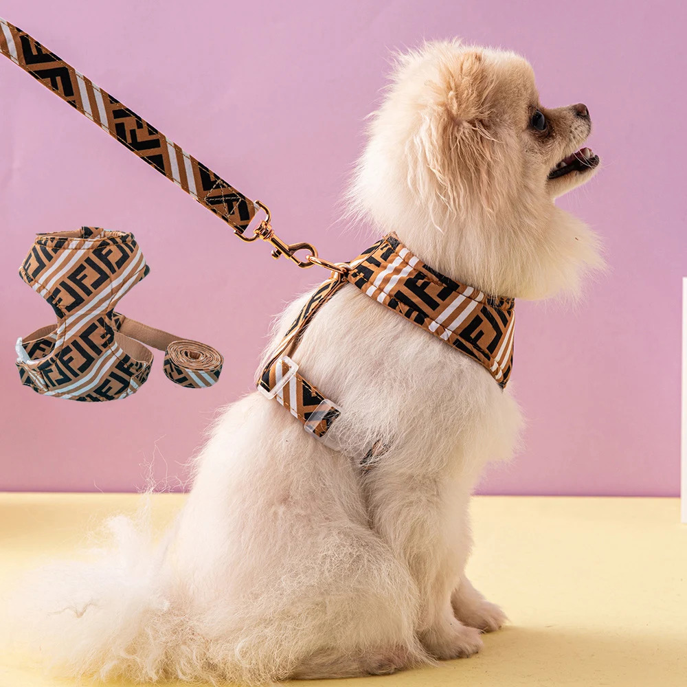 High quality Pet Harness Vest Puppy Dog Collar Adjustable Mesh Harness for Small Medium Dogs Kitten Accessories Puppy Leash Set 241122
