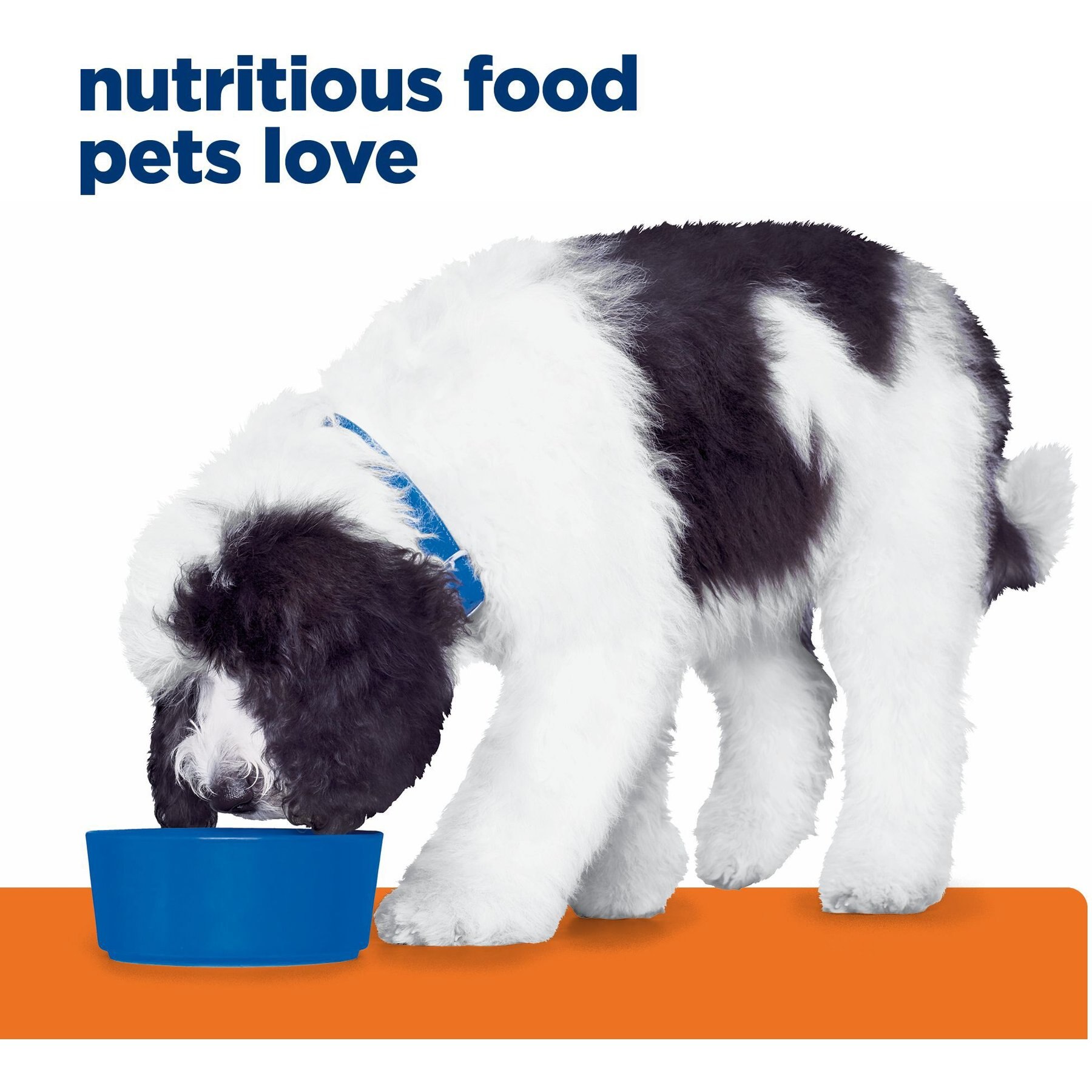 Hill's Prescription Diet c/d Multicare Urinary Care Chicken Flavor Wet Dog Food