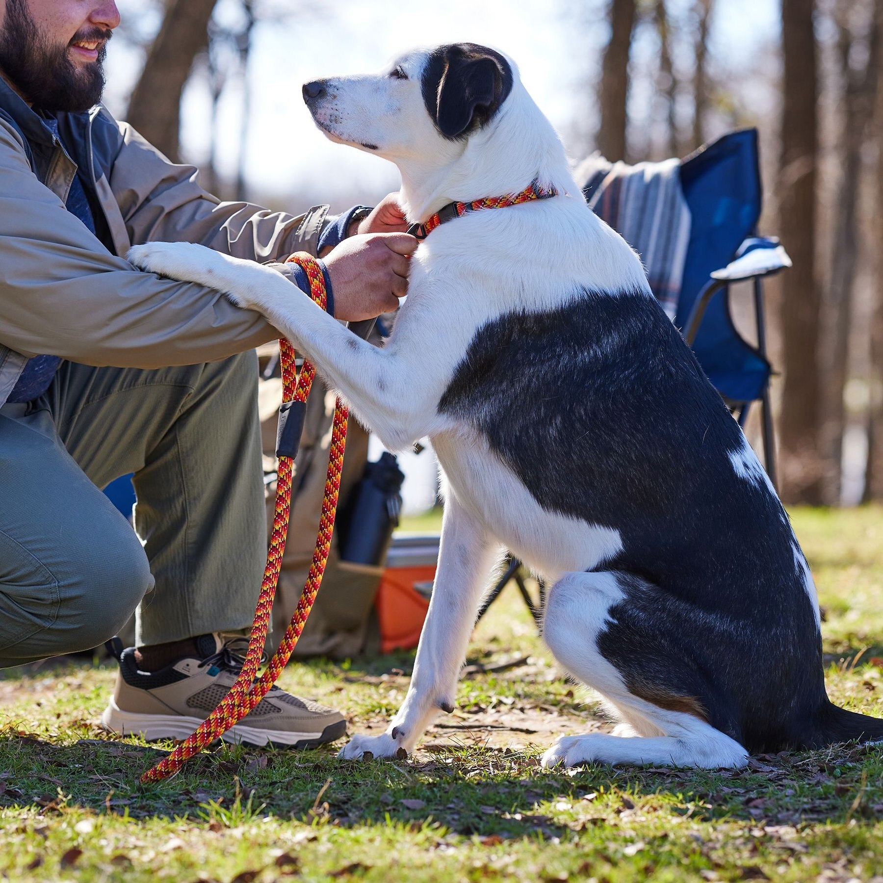Frisco Rugged Reflective Rope Dog Leash
