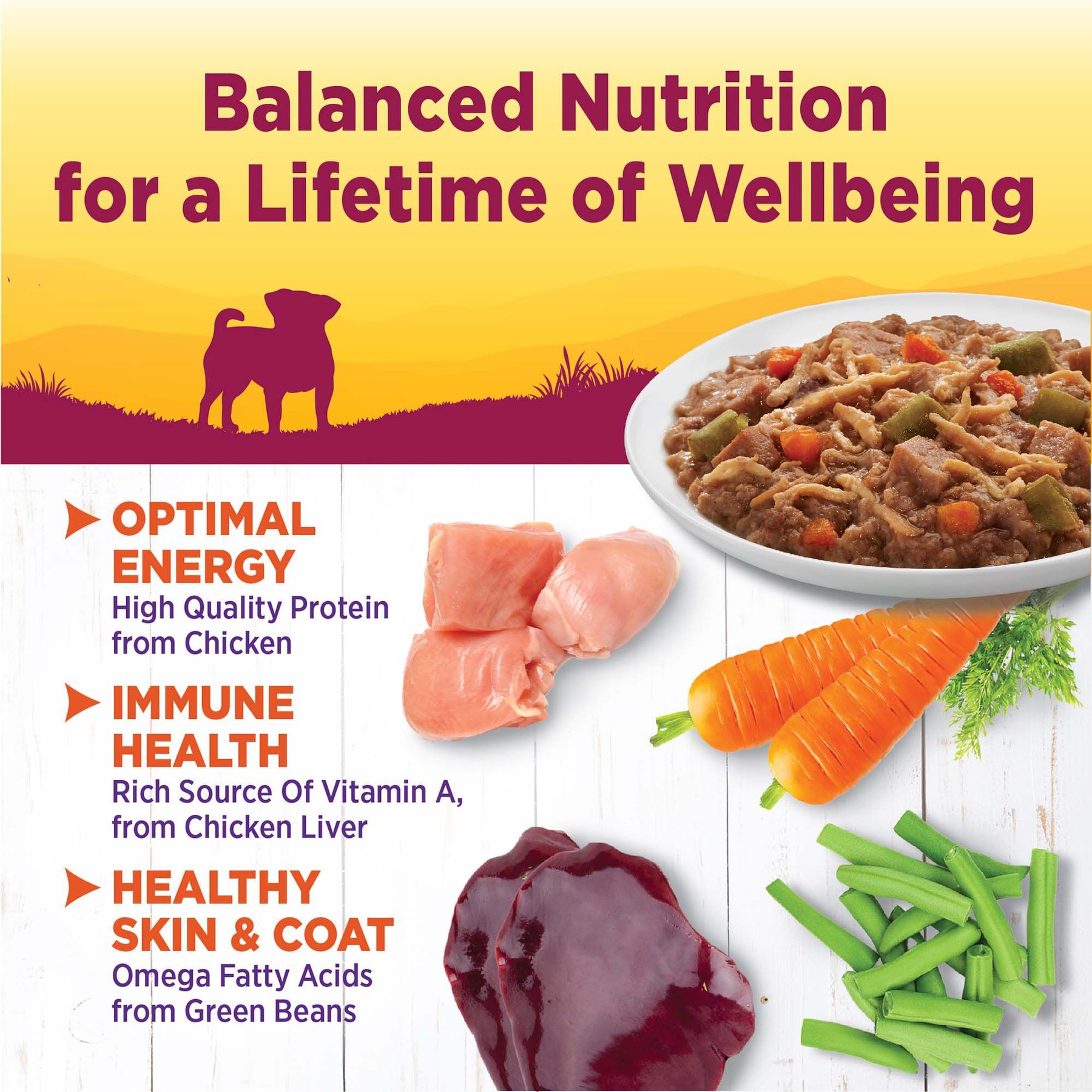 Wellness Petite Entrees Shredded Medley Chicken & Turkey Small Breed Natural Wet Dog Food, 3-oz cup, 12 count