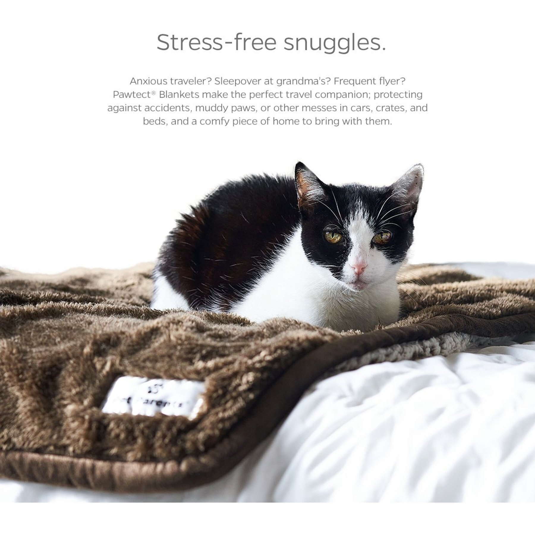 Pet Parents Pawtect Blanket Waterproof Premium Dog, Cat, & Puppy Blanket