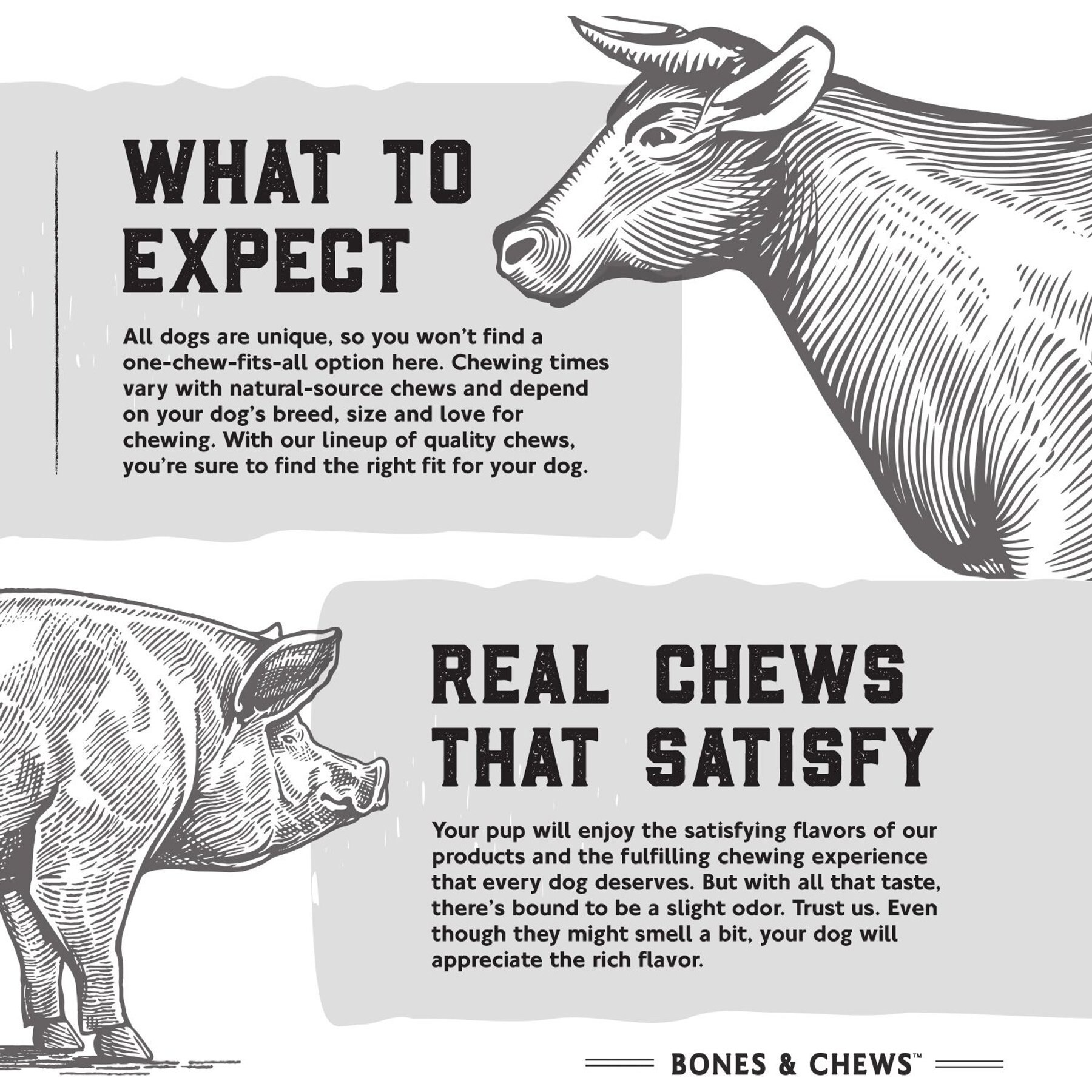 Bones & Chews USA Lamb Flavored Filled Bone Dog Treats