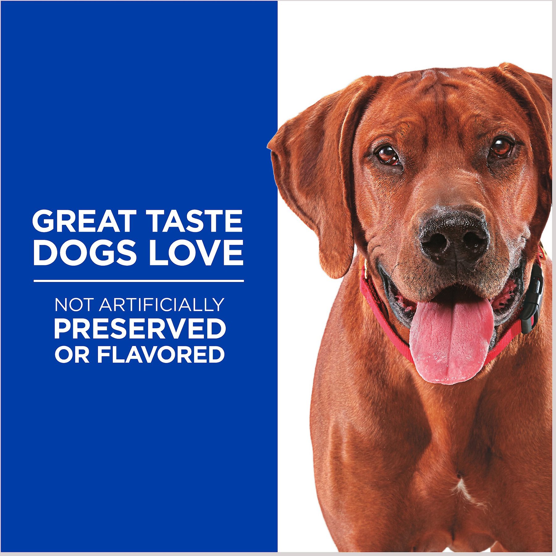 Hill's Grain-Free Soft-Baked Naturals with Duck & Pumpkin Dog Treats