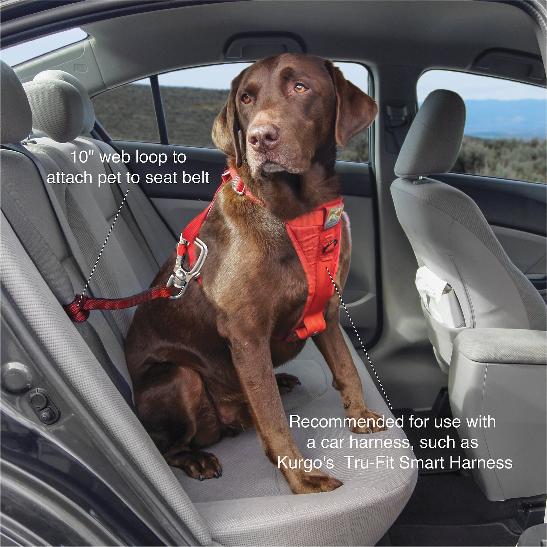Kurgo Swivel Seat-Belt Tether
