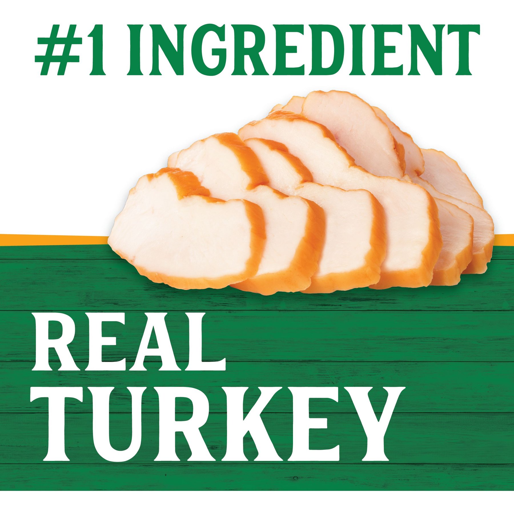 Triumph Turkey Formula Canned Dog Food