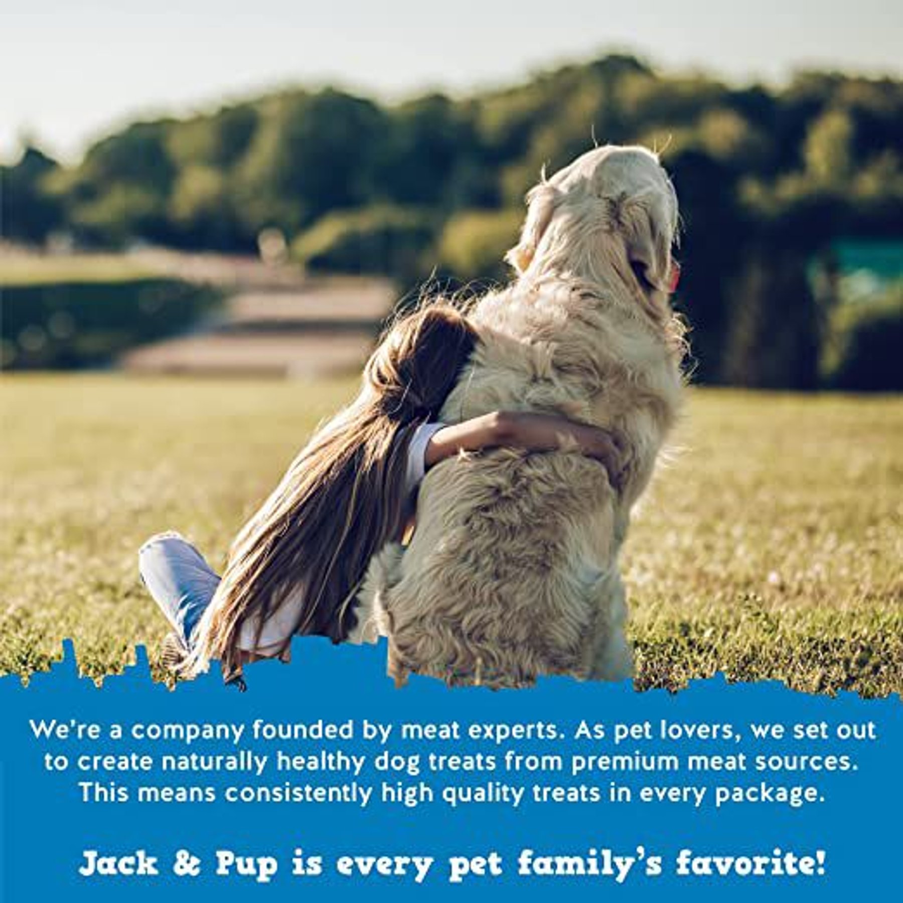 Jack & Pup Small Stuffed 3-4-in Bone Filled with Bully Stick Flavor Dog Treats, 2 count