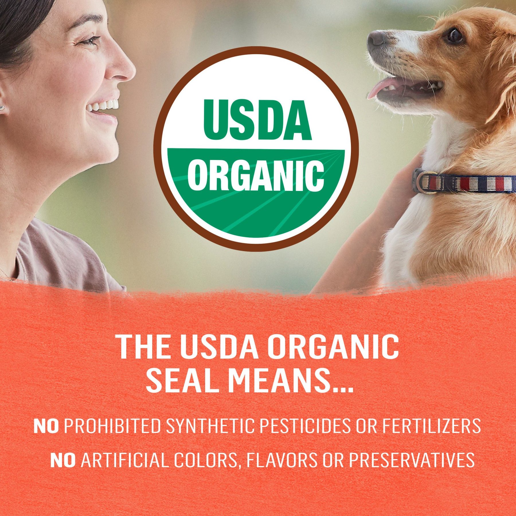 Purina Beyond Organic Chicken & Sweet Potato Recipe Wet Dog Food, 13-oz can, case of 12