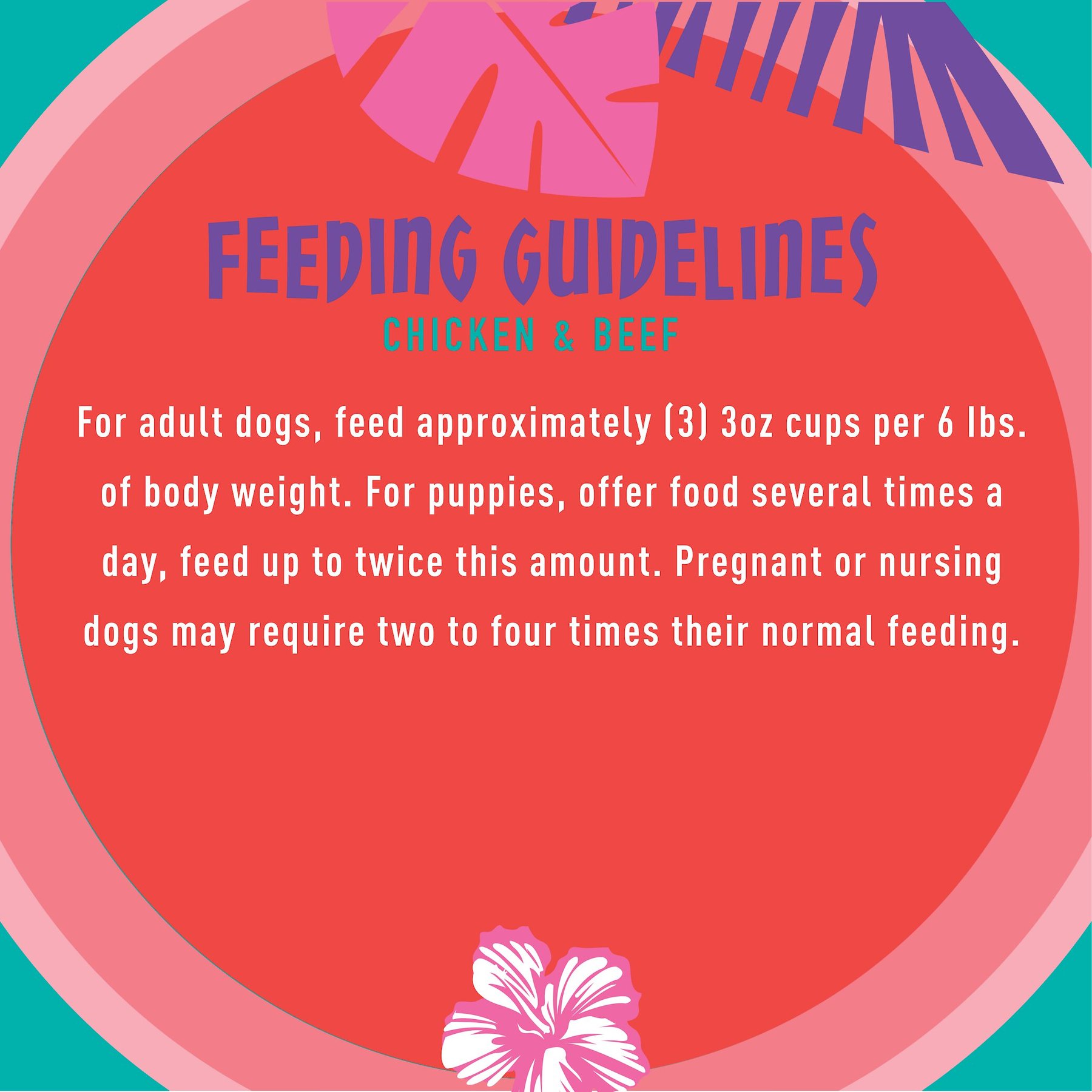 Tiki Dog Meaty High Protein Diet Chicken with Beef Recipe in Broth Grain-Free Wet Dog Food, 3-oz cup, case of 4