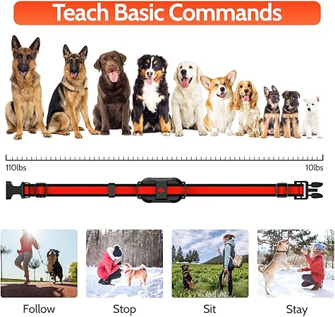 DogStop Electric Dog Collar with 4 Training Modes and Rechargeable Remote Waterproof Range 3300Ft for Small Medium Large Dogs