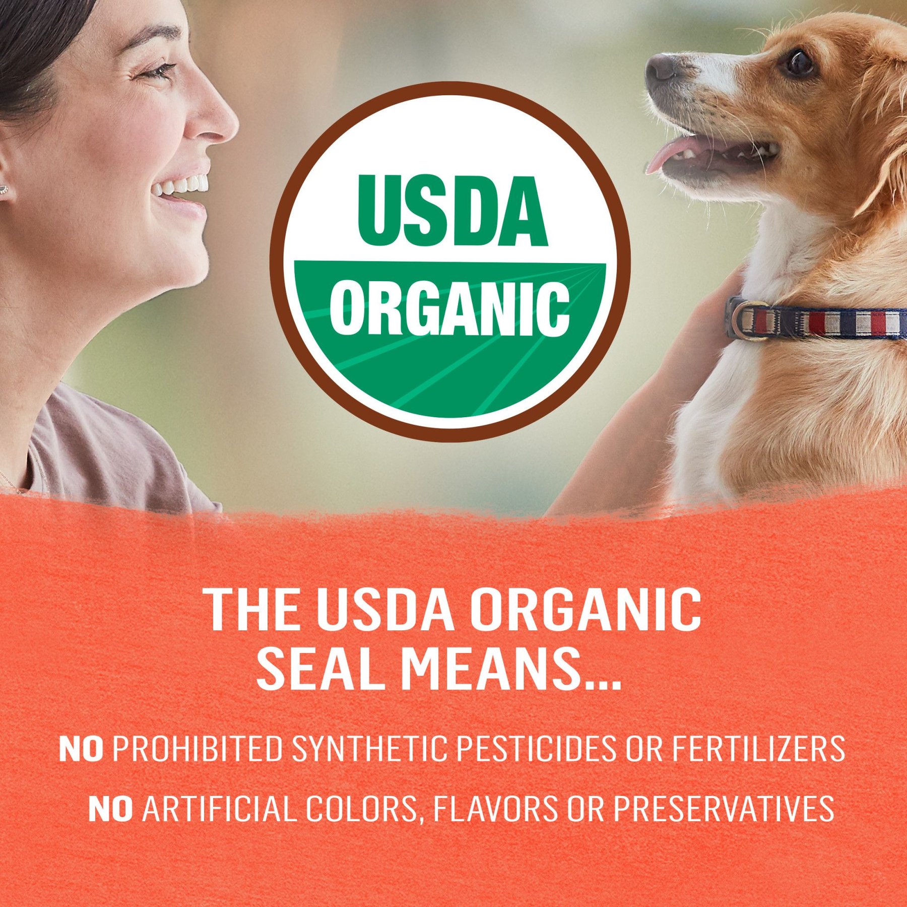 Purina Beyond Organic Chicken Recipes Variety Pack High Protein Wet Dog Food, 13-oz can, case of 12
