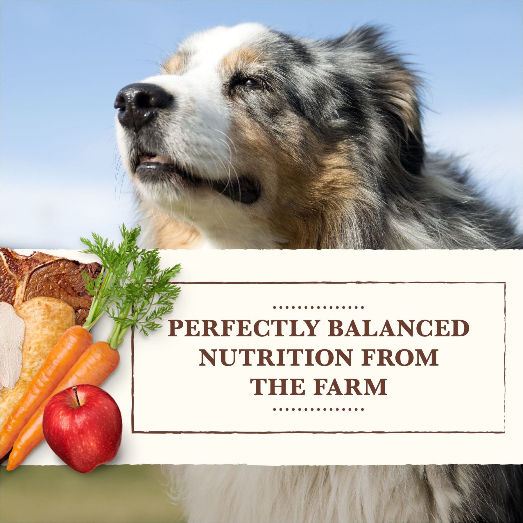 Whole Earth Farms Chicken & Turkey & Red Meat Recipes Grain-Free Variety Pack Wet Dog Food, 12.7-oz can, case of 12