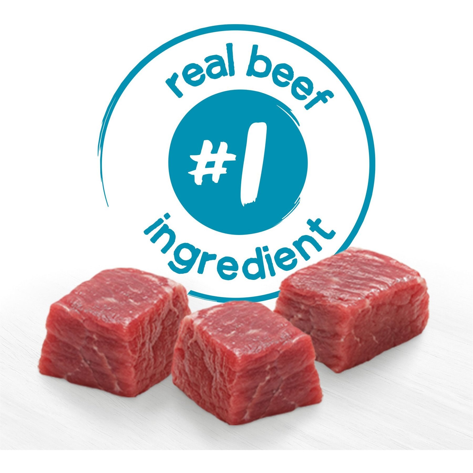 Purina Beneful IncrediBites Porterhouse Steak Flavor in a Savory Gravy Pate Small Wet Dog Food
