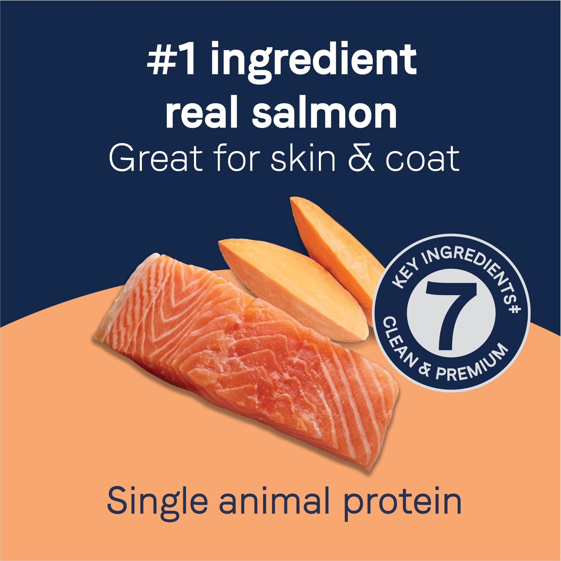 CANIDAE Pure Biscuits with Salmon & Sweet Potato Dog Treats