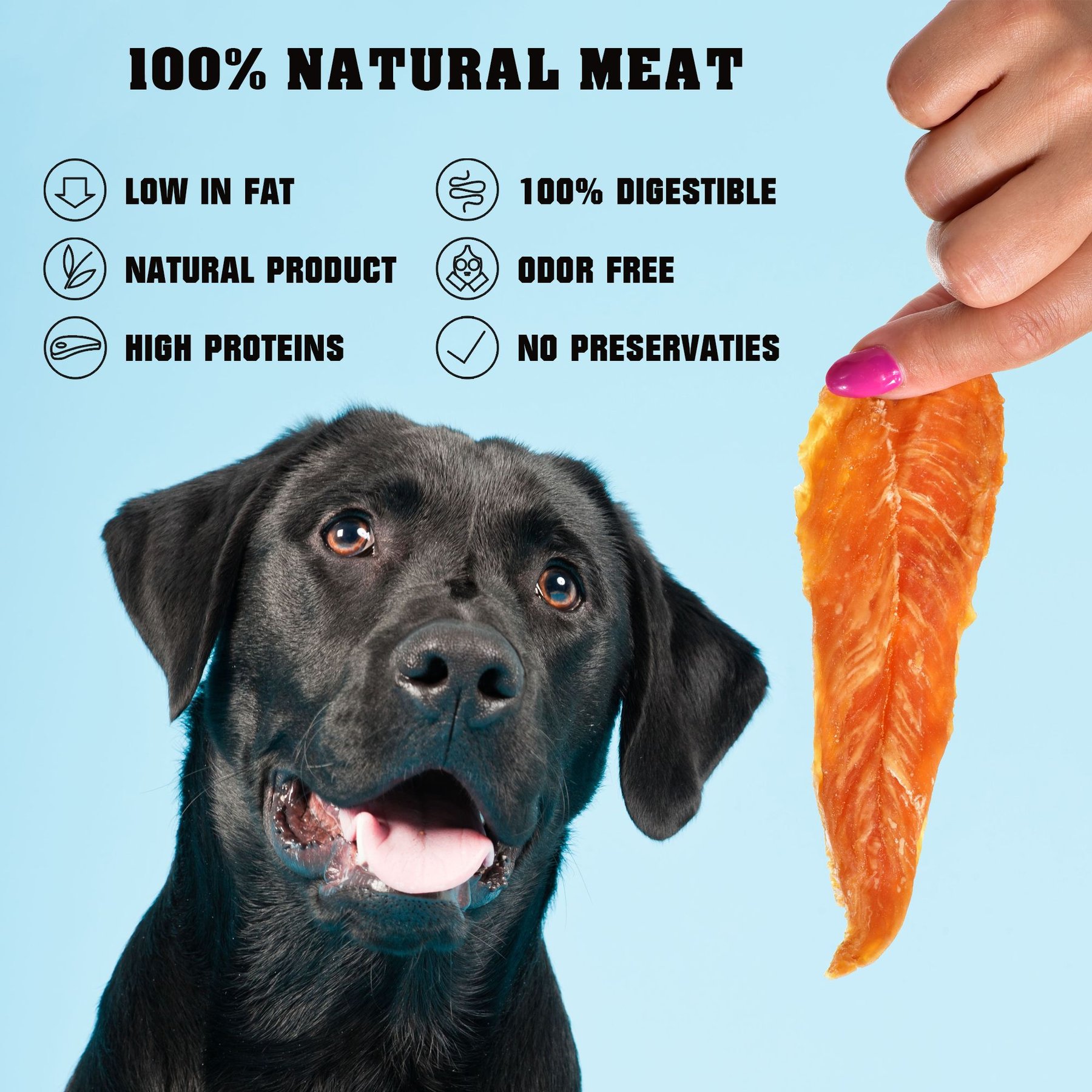 Beloved Pets Chicken Jerky Slices Grain-Free High-Protein Natural Dog Treats, 1.5-lb bag
