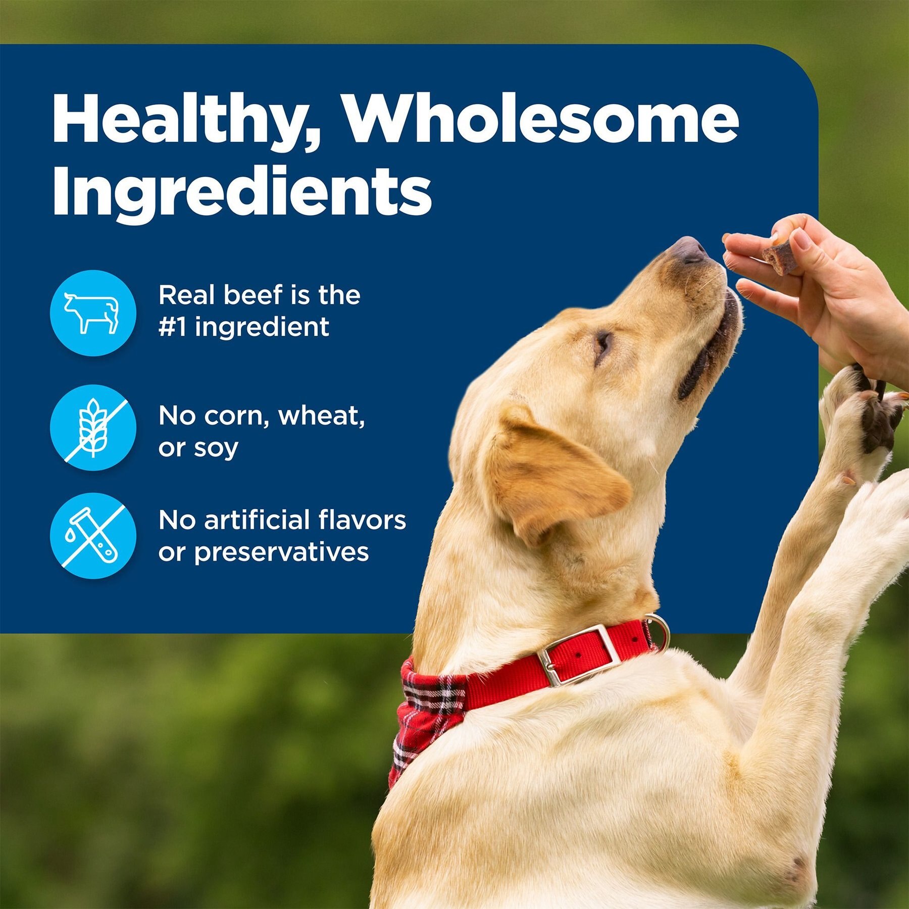 Blue Buffalo Nudges On The Go Beef Natural Dog Treats, 5.5-oz container