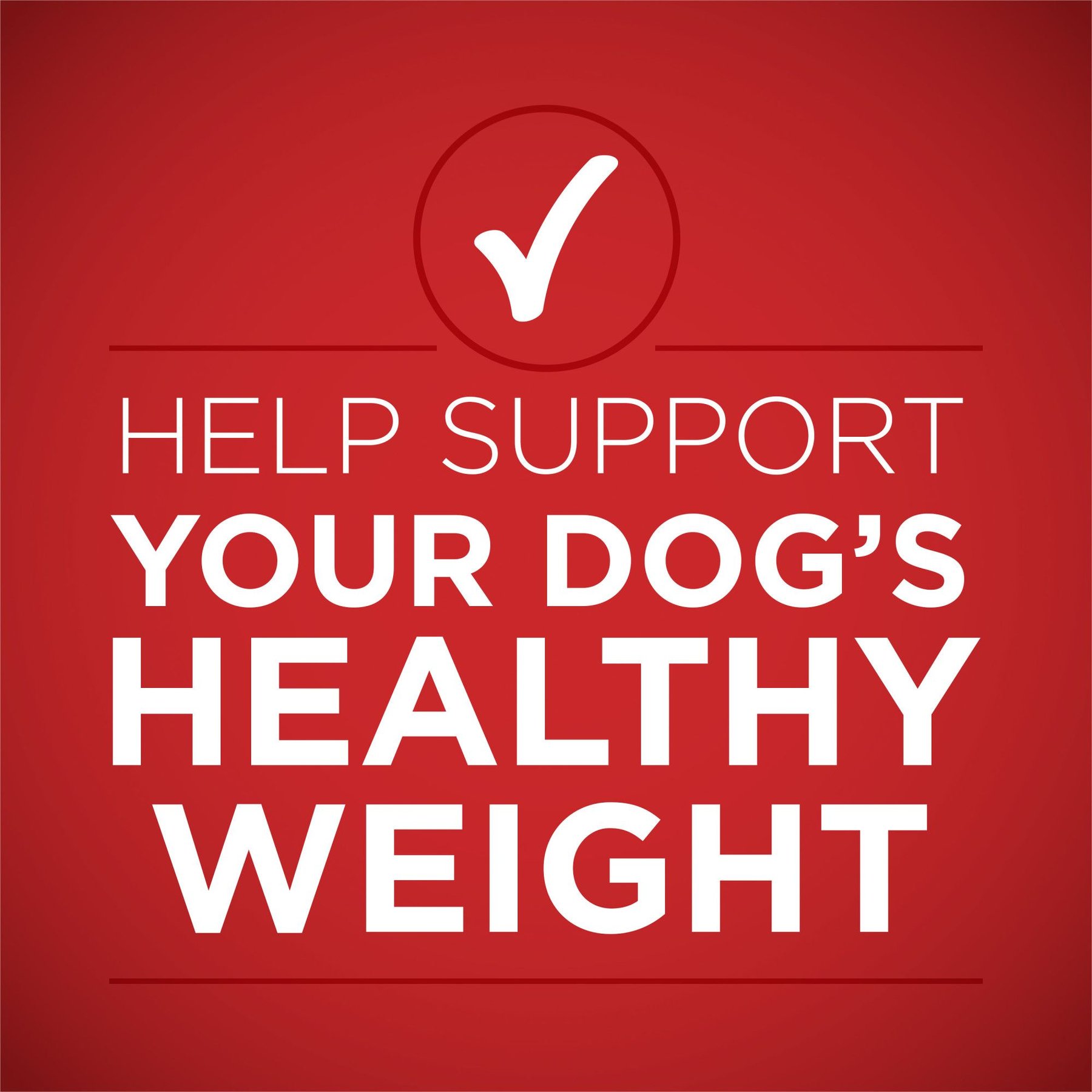 Purina ONE +Plus Adult Tender Cuts in Gravy Healthy Weight Lamb & Brown Rice Entree Canned Dog Food