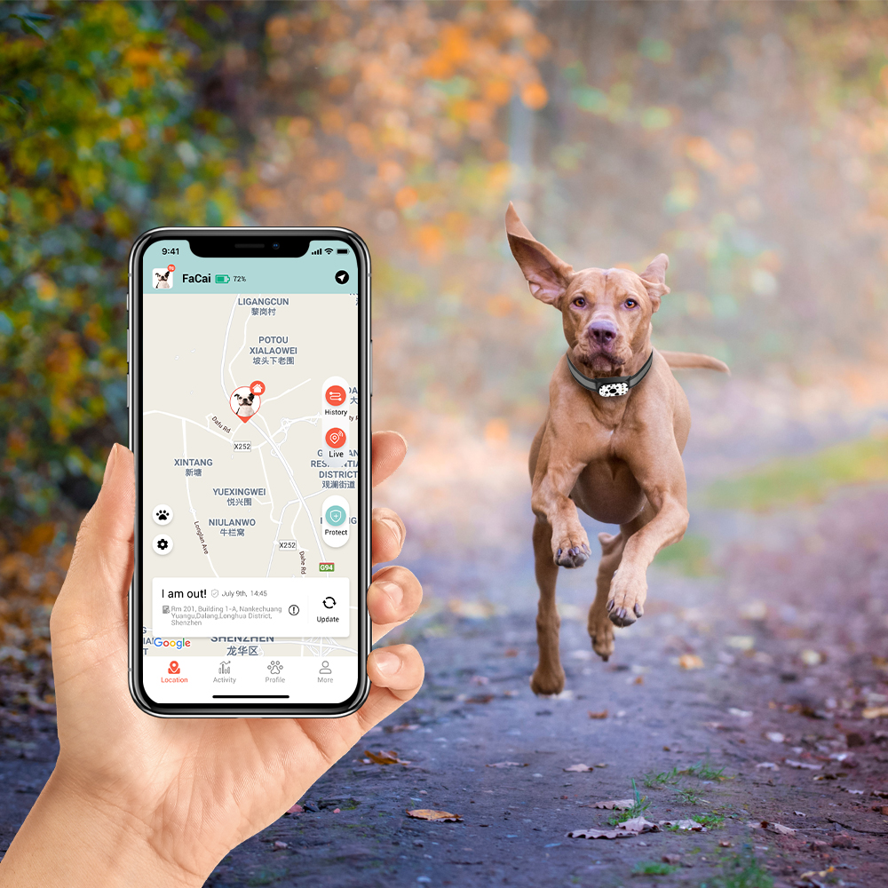 Universal Dog / Cat Water-Resistant USB Charging Callback Remote Listening 43-58cm Adjustable Collar 4G Pet Tracker GPS