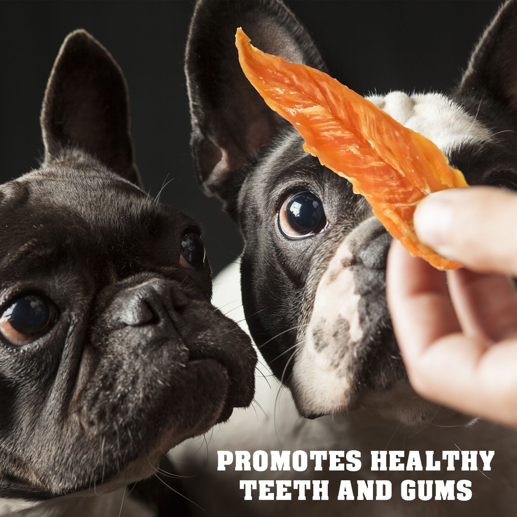 Beloved Pets Chicken Jerky Slices Grain-Free High-Protein Natural Dog Treats, 1.5-lb bag