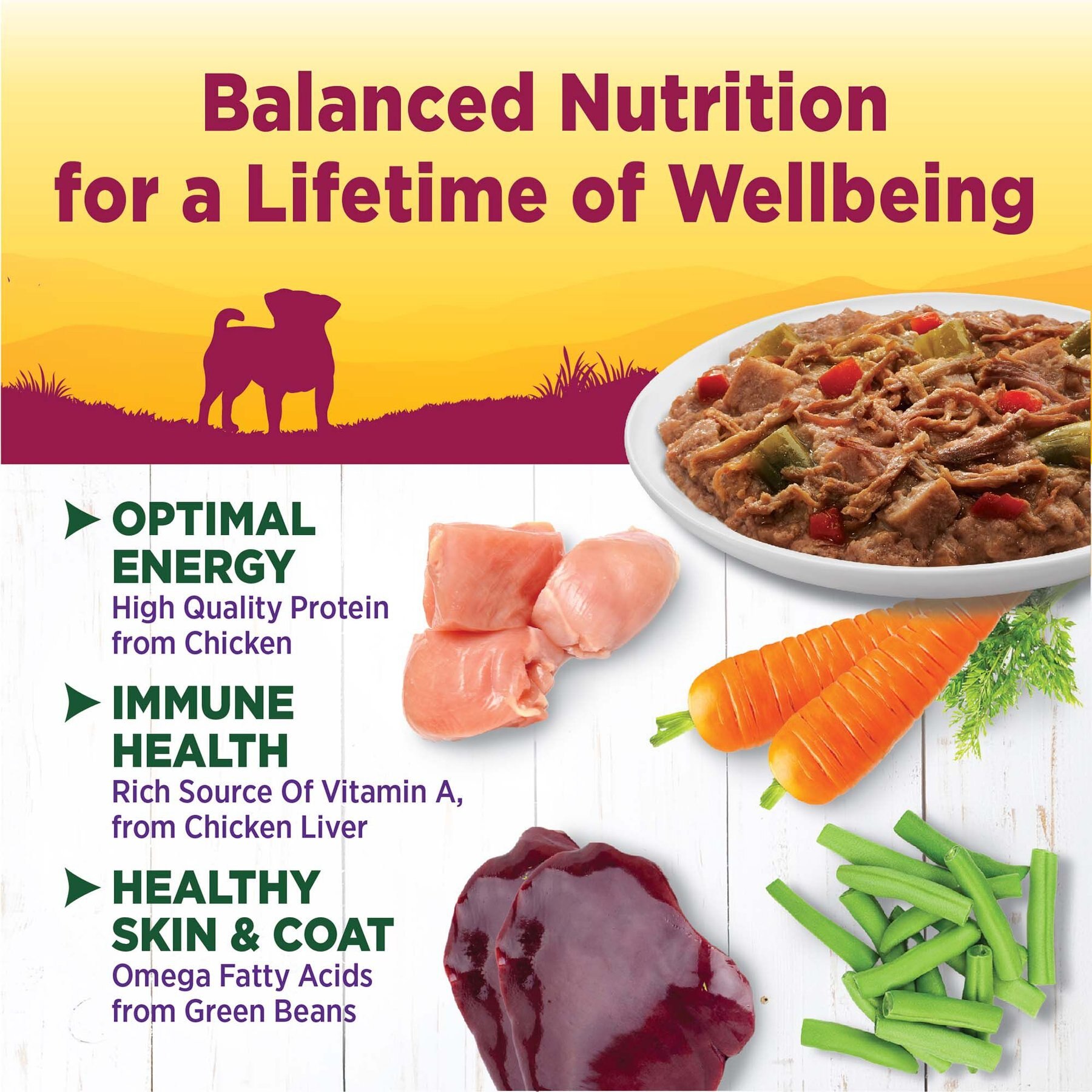 Wellness Petite Entrees Shredded Medley Chicken & Beef Small Breed Natural Wet Dog Food, 3-oz cup, 12 count