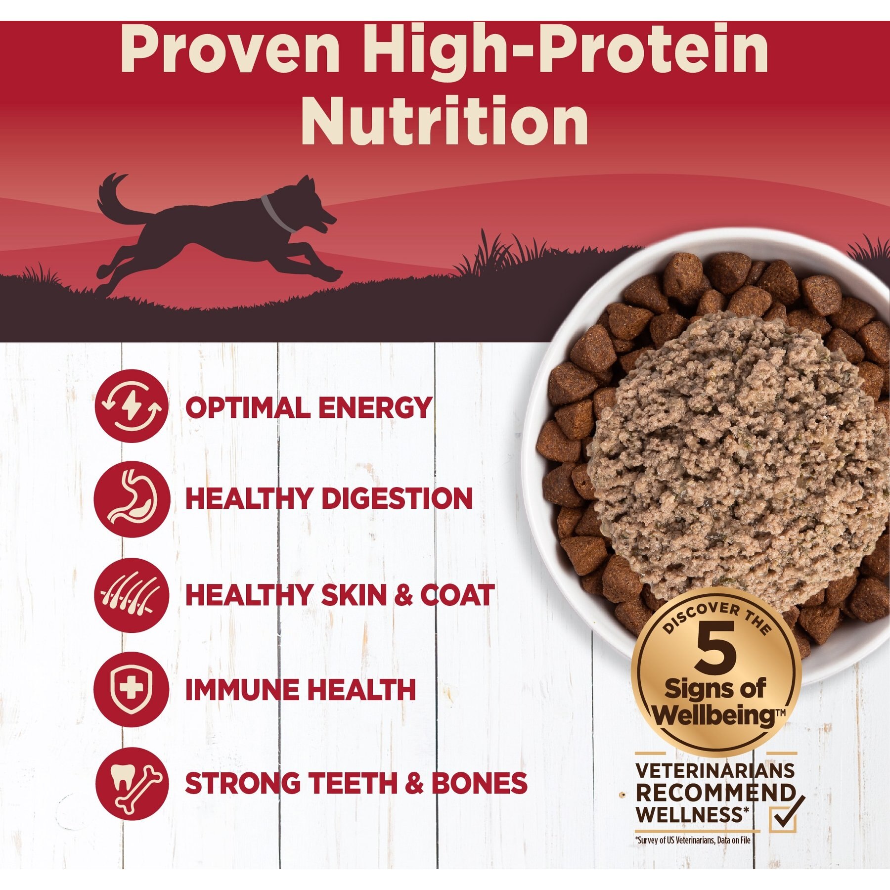 Wellness CORE 95% Grain-Free Beef & Carrots Canned Dog Food
