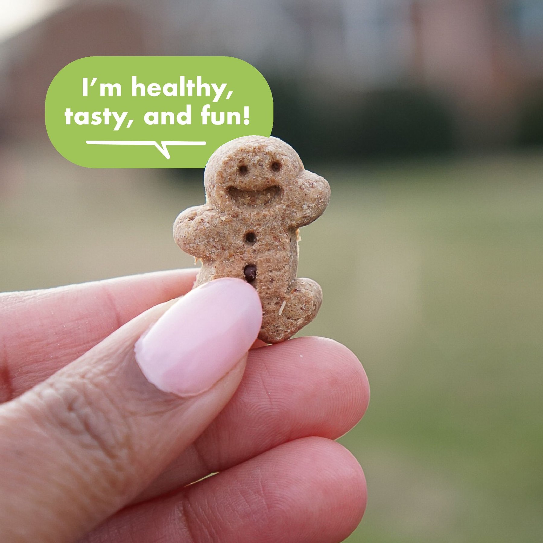 Buddy Biscuits Grain-Free Soft & Chewy with Roasted Chicken Dog Treats