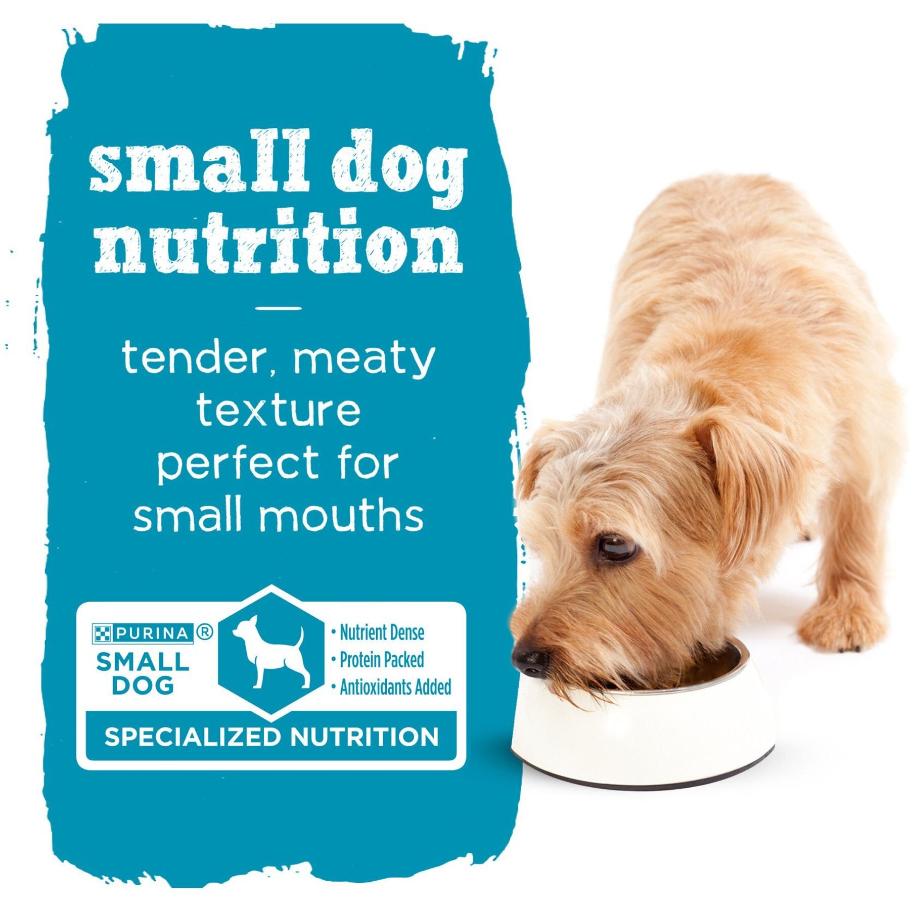 Purina Beneful IncrediBites Pate with Real Salmon, Tomatoes, Carrots & Spinach Wet Dog Food
