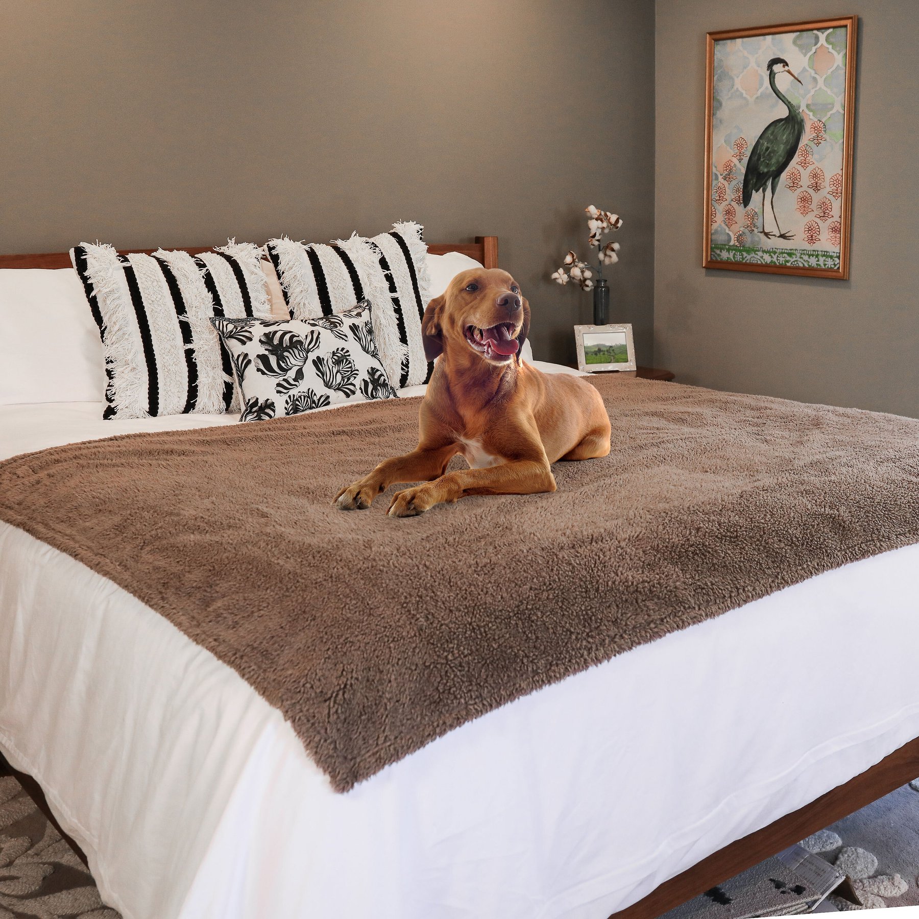 Rocket & Rex Waterproof Cat & Dog Blanket