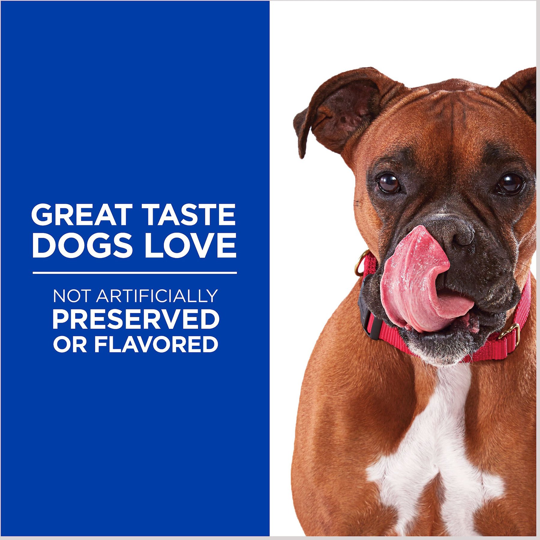 Hill's Grain-Free Soft-Baked Naturals with Chicken & Carrots Dog Treats