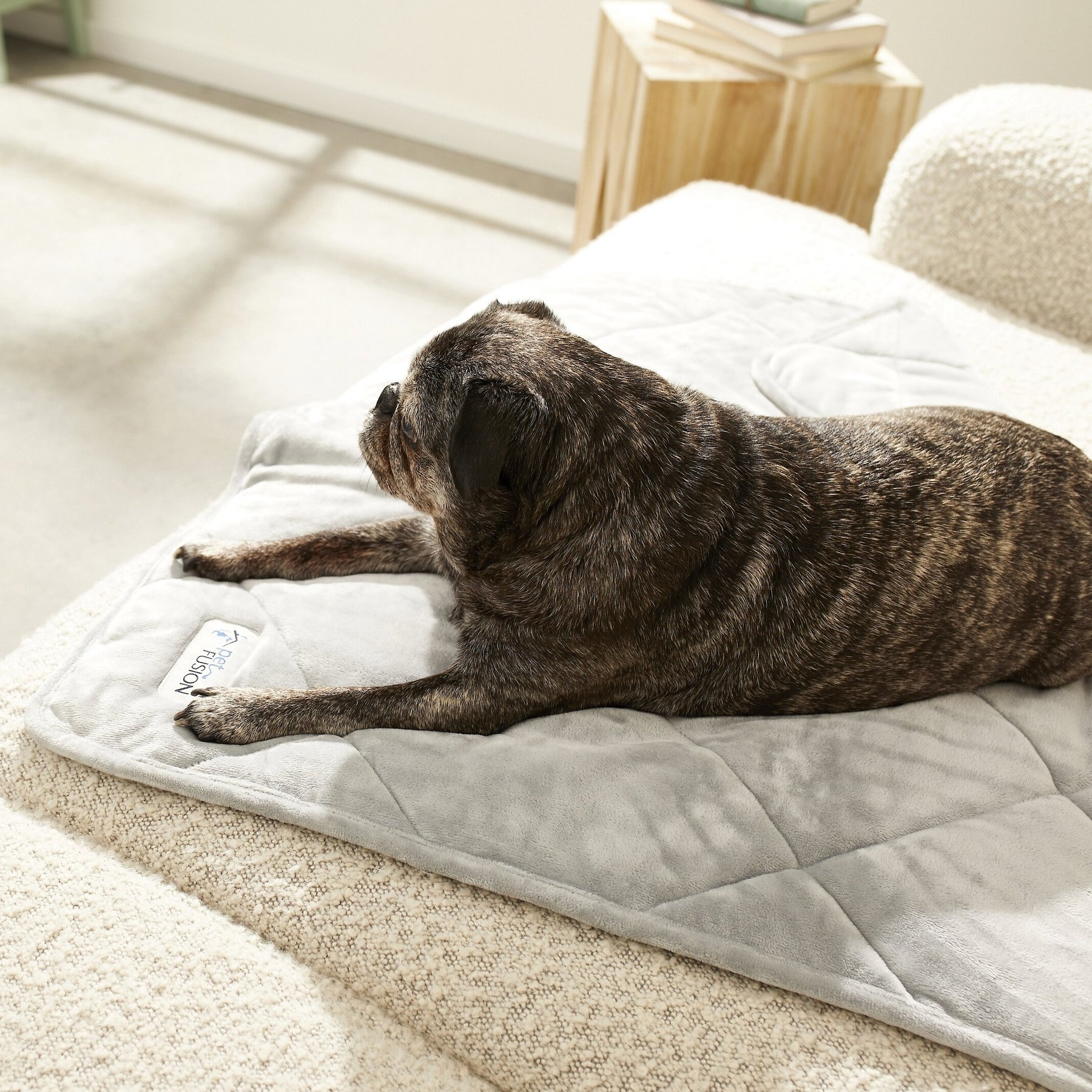 PetFusion Microplush Quilted Dog & Cat Blanket