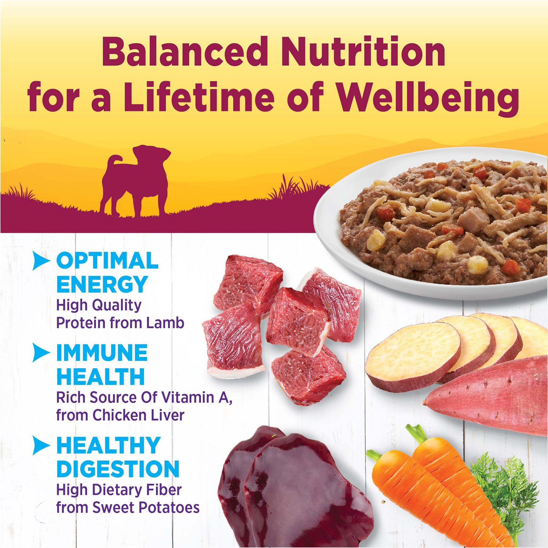 Wellness Petite Entrees Shredded Medley Lamb & Venison Small Breed Natural Wet Dog Food, 3-oz cup, 12 count