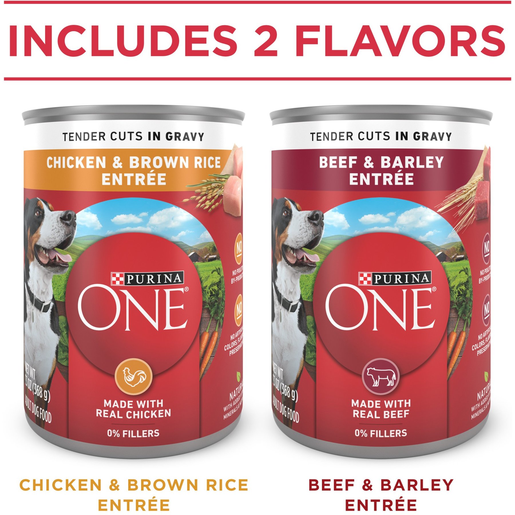 Purina ONE SmartBlend Tender Cuts in Gravy Variety Pack Wet Dog Food