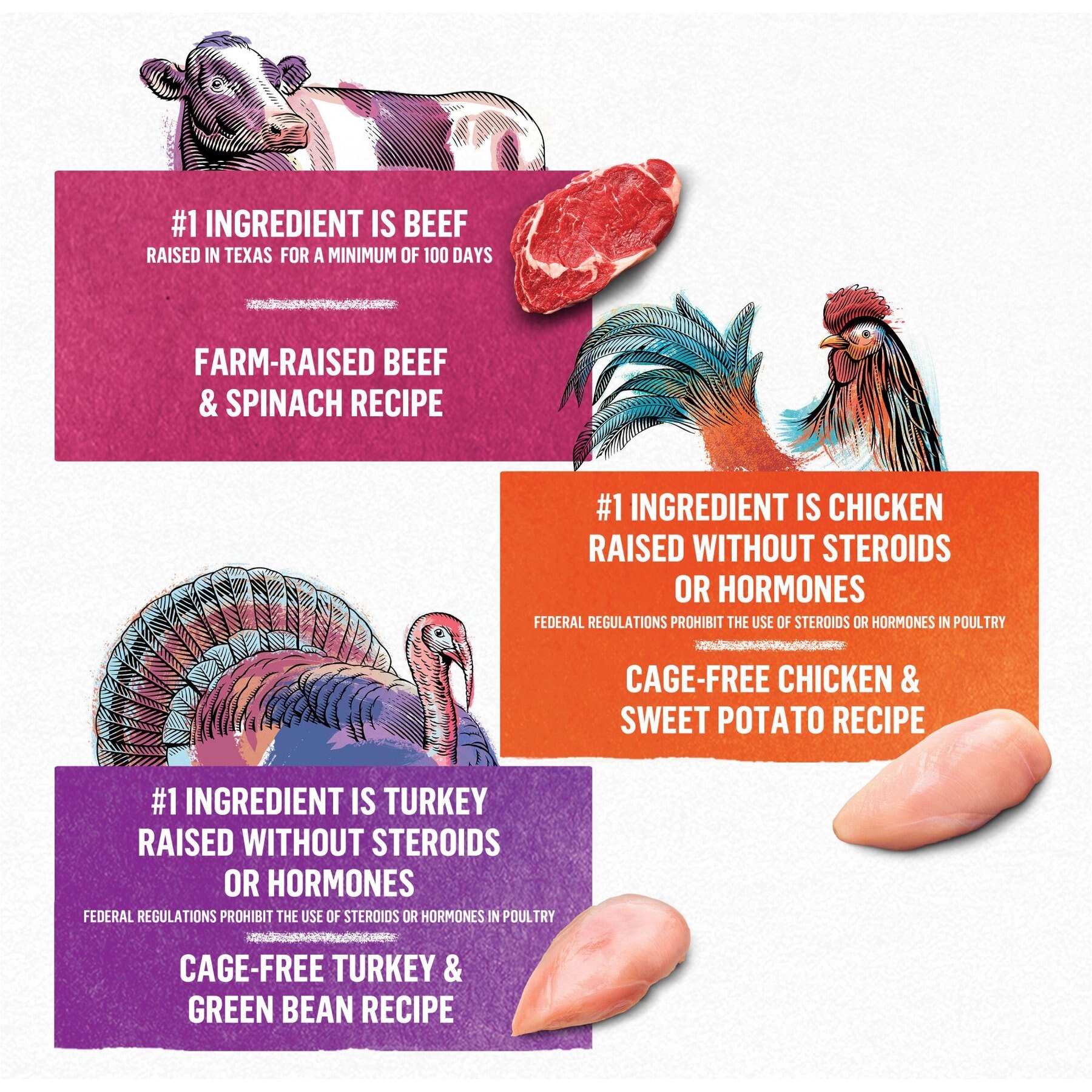 Purina Beyond Beef, Chicken & Turkey Recipes Variety Pack Grain-Free Wet Dog Food, 12.5-oz can, case of 12