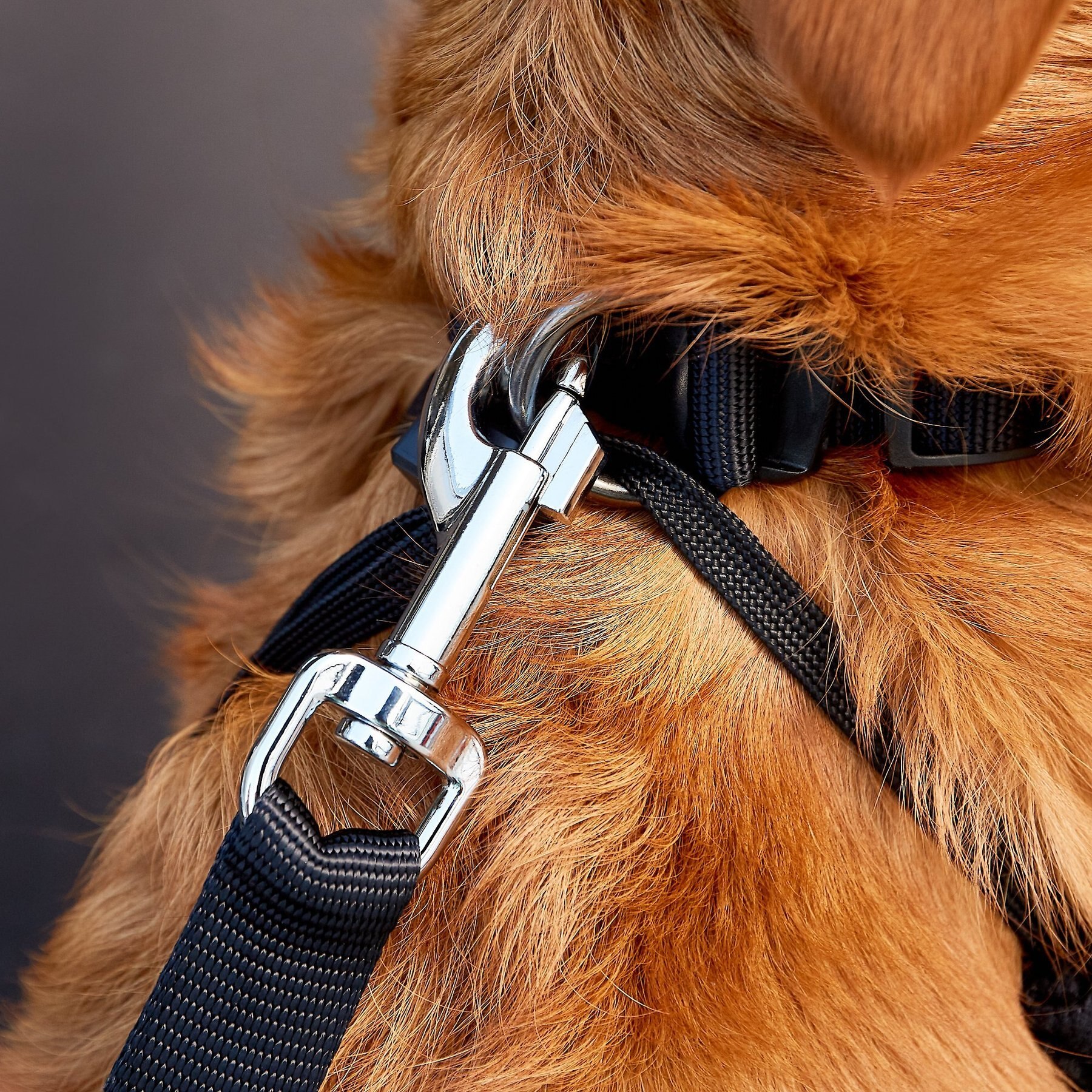 Dogit Car Safety Dog Belt