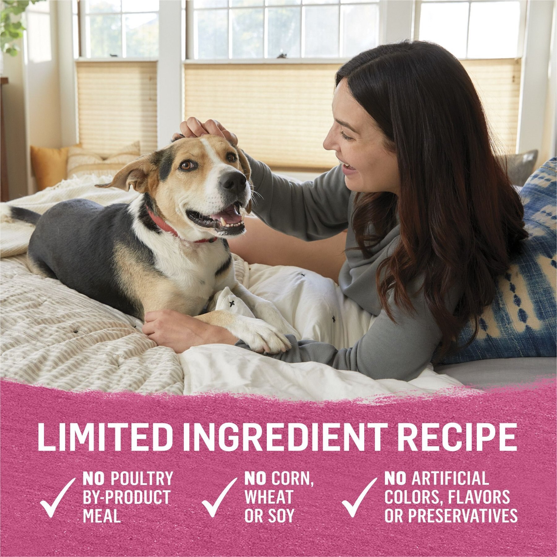 Purina Beyond Beef, Chicken & Turkey Recipes Variety Pack Grain-Free Wet Dog Food, 12.5-oz can, case of 12