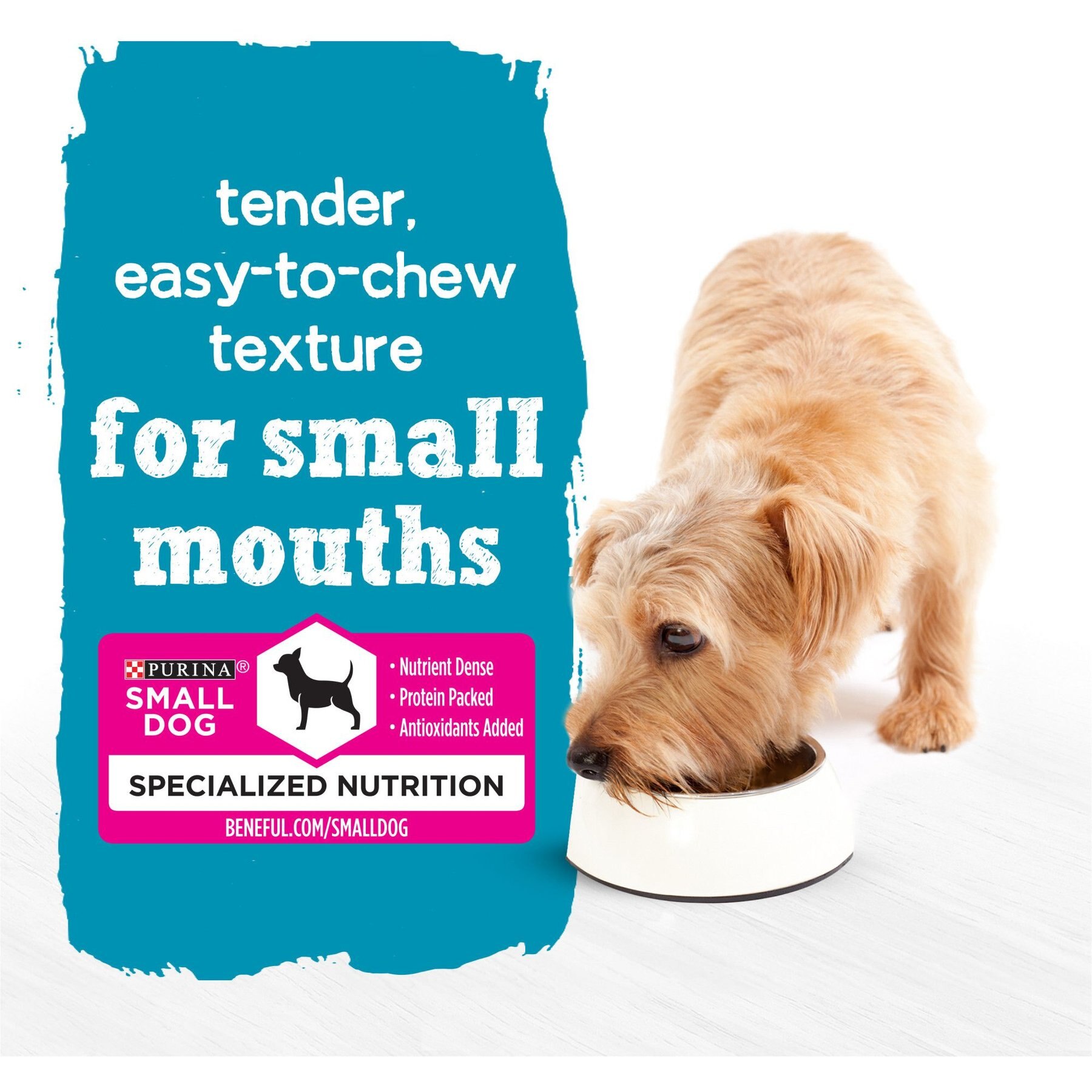 Purina Beneful IncrediBites Chicken & Bacon Flavor in a Savory Gravy Pate Small Wet Dog Food