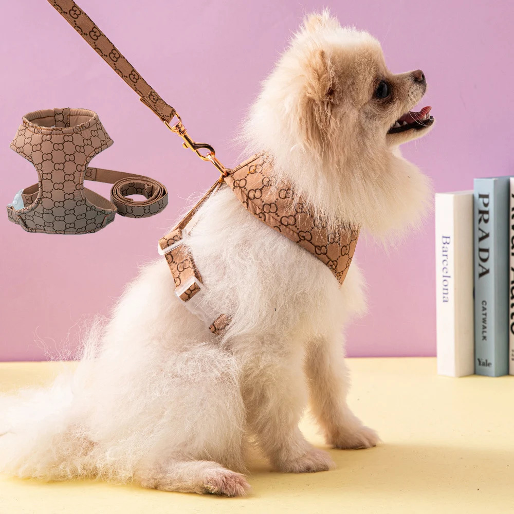 High quality Pet Harness Vest Puppy Dog Collar Adjustable Mesh Harness for Small Medium Dogs Kitten Accessories Puppy Leash Set 241122