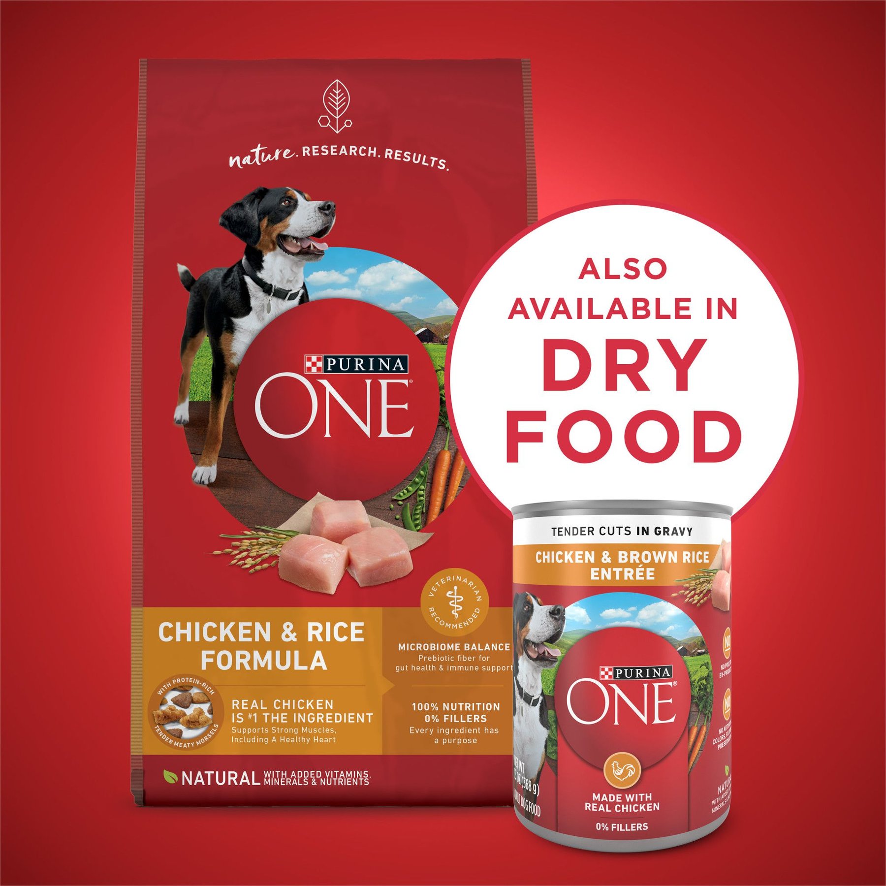 Purina ONE SmartBlend Tender Cuts in Gravy Chicken & Brown Rice Entree Adult Canned Dog Food