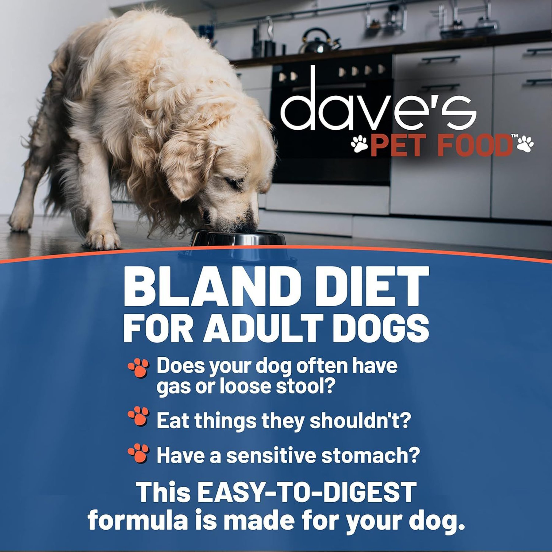 Dave's Pet Food Restricted Bland Diet Sensitive Stomach Digestive Care Chicken & Rice Canned Wet Dog Food