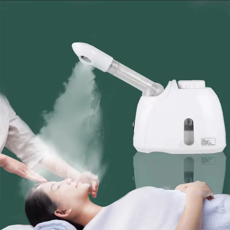 Ozone steam warm mist humidifier for deep cleaning Steam humidifier spray salon Home spa Skin care whitening 241206ww