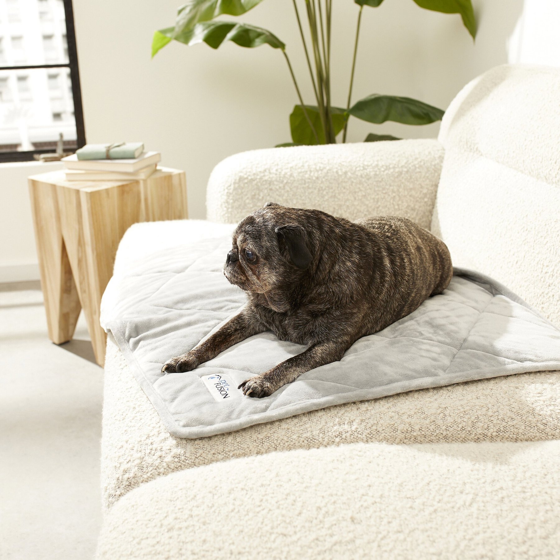 PetFusion Microplush Quilted Dog & Cat Blanket