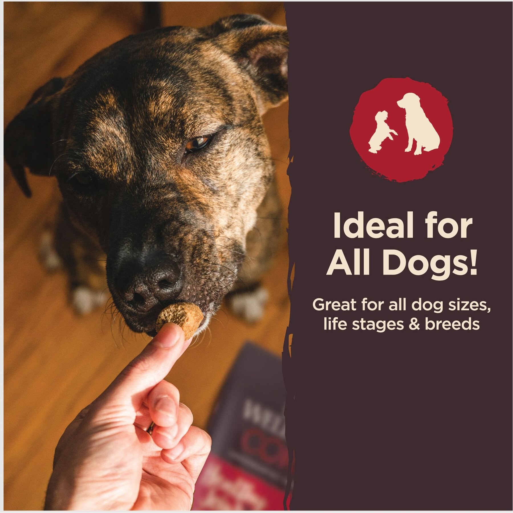 Wellness CORE Healthy Joints Beef & Chicken Grain-Free Dog Treats, 8-oz bag