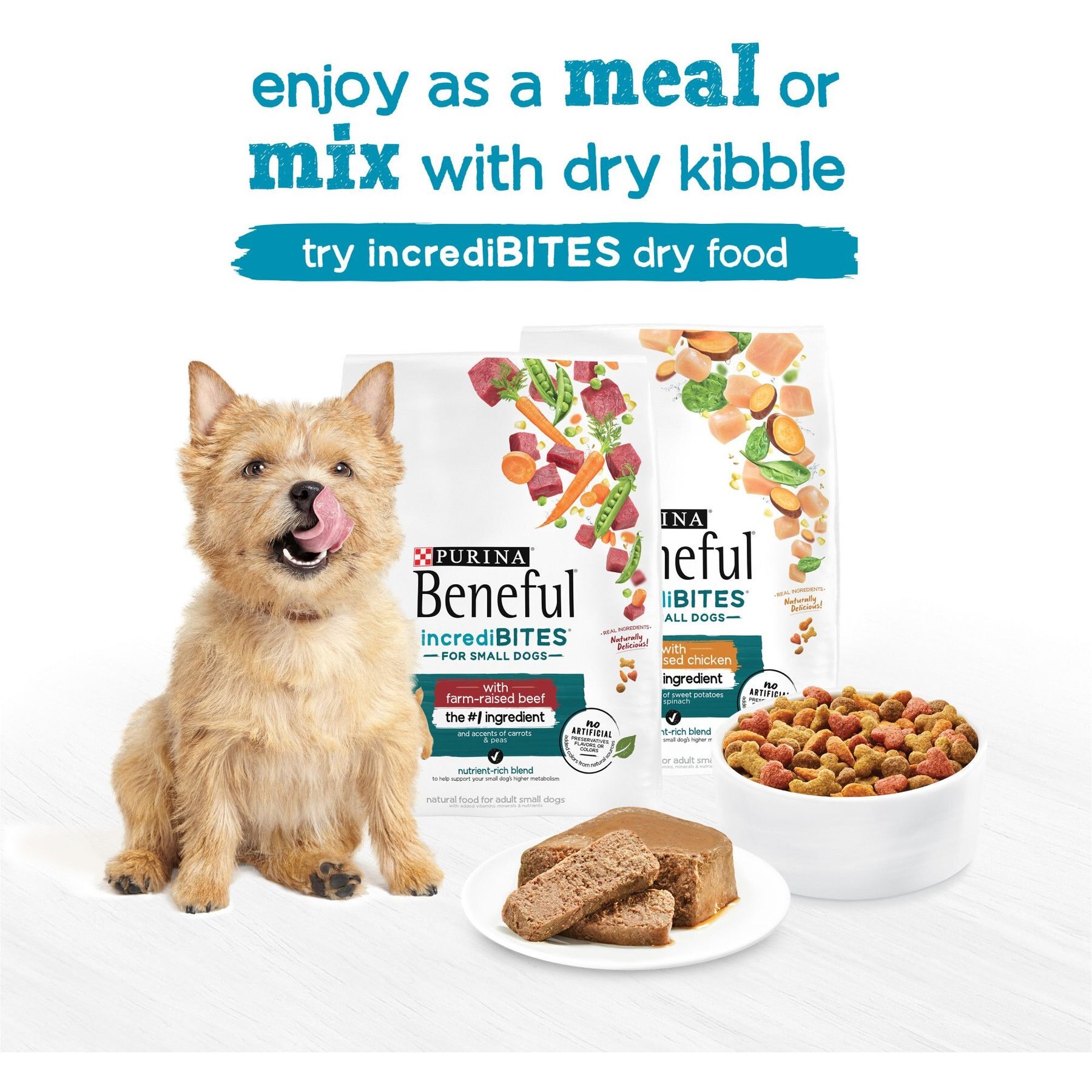 Purina Beneful IncrediBites Porterhouse Steak Flavor in a Savory Gravy Pate Small Wet Dog Food