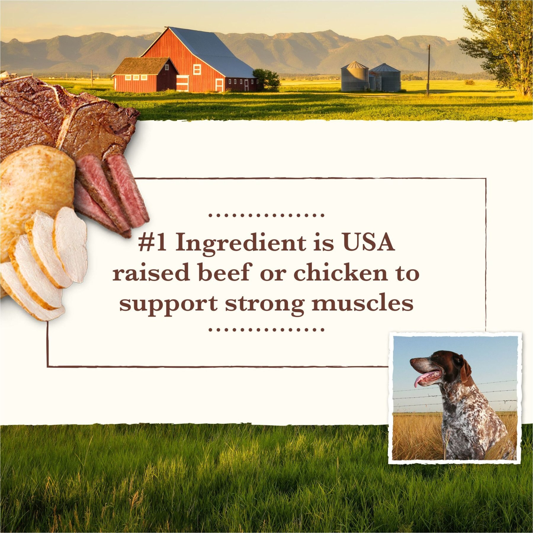 Whole Earth Farms Chicken & Turkey & Red Meat Recipes Grain-Free Variety Pack Wet Dog Food, 12.7-oz can, case of 12