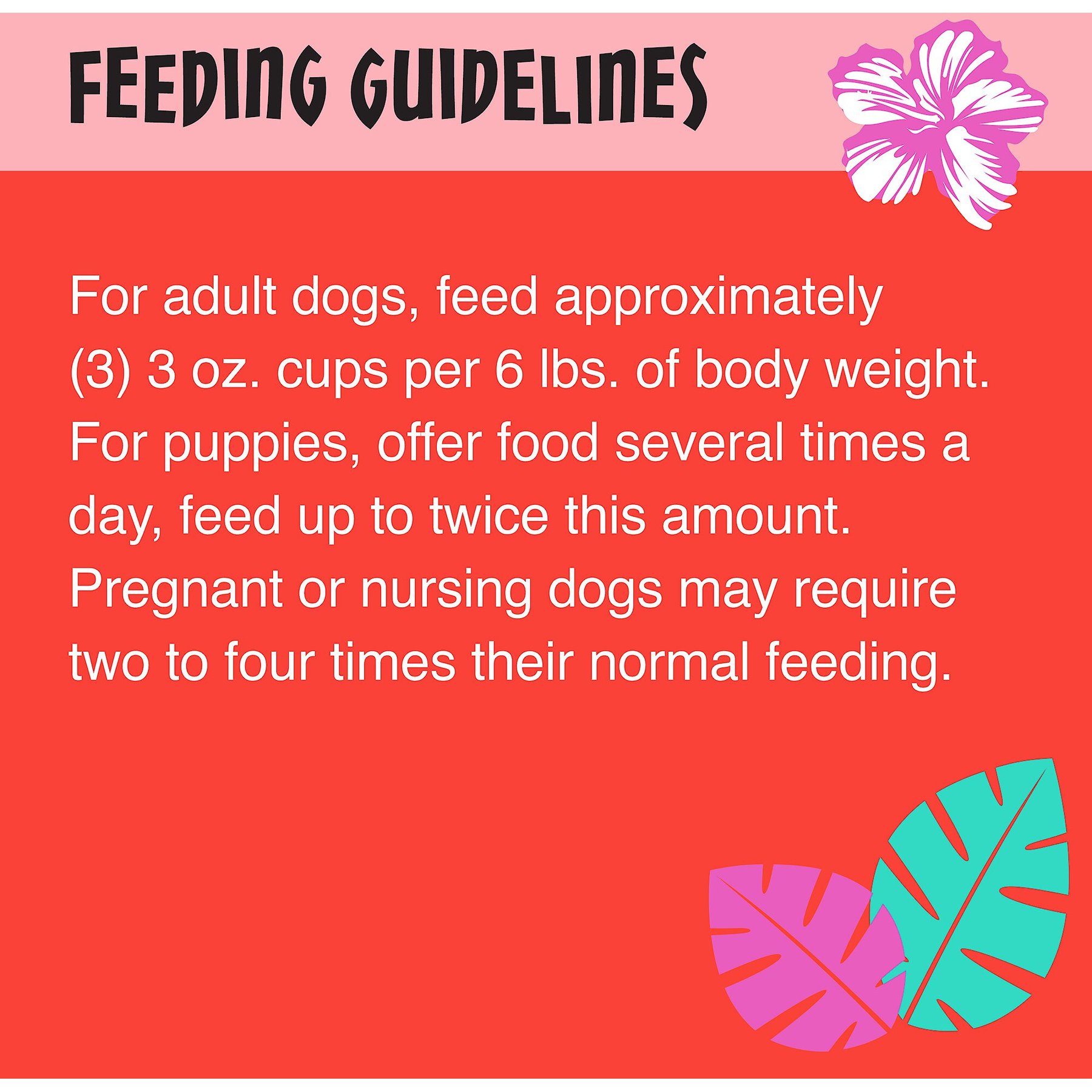 Tiki Dog Meaty High Protein Diet Chicken with Beef Recipe in Broth Grain-Free Wet Dog Food, 3-oz cup, case of 4