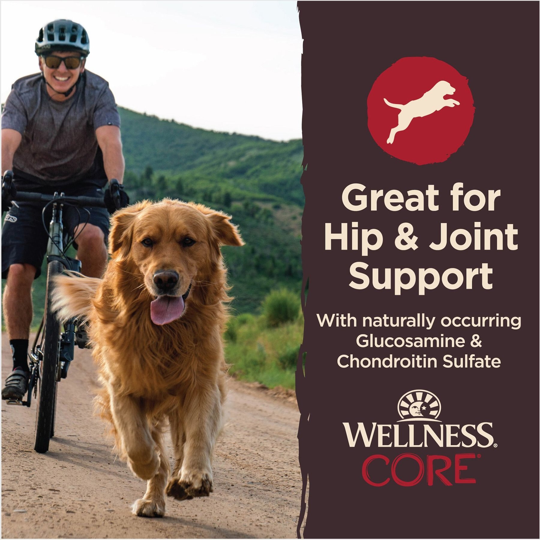 Wellness CORE Healthy Joints Beef & Chicken Grain-Free Dog Treats, 8-oz bag